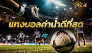 แทงบอลค่าน้ำดีที่สุด